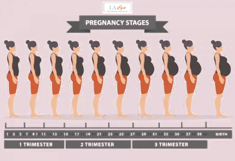 First Trimester (Weeks 1–12): Early Changes You Might Not Notice Newark-on-Trent